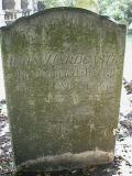 image of grave number 4042